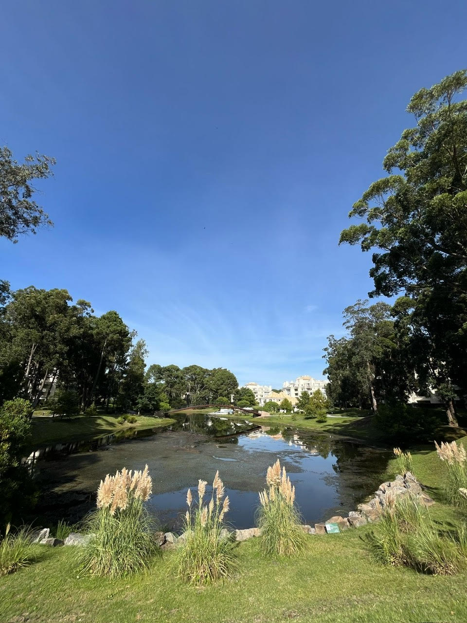 Alquiler en Green Park